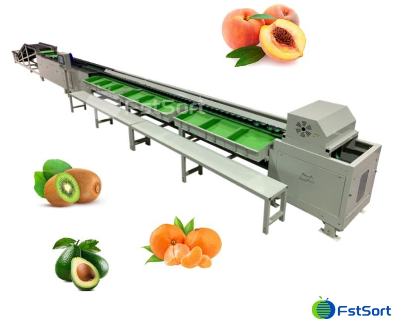 images/1654589497166Electronic Weighing Classifier.jpg